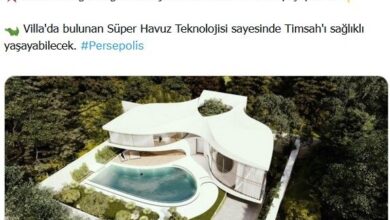 بازیکن سابق لیورپول در رسانه‌های خارجی پرسپولیسی شد