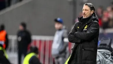 mqesznl44.jpg